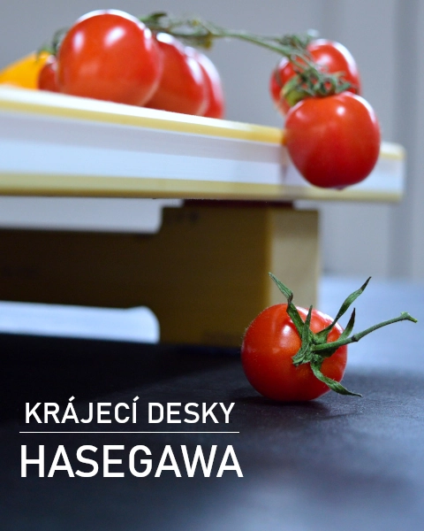 hasegawa