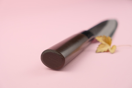 Nůž Sekiryu KATEI HAMMERED Santoku 165 mm [SRH100]