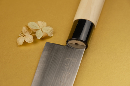 Nůž Sekiryu KATEI Gyuto 180 mm [SR900]